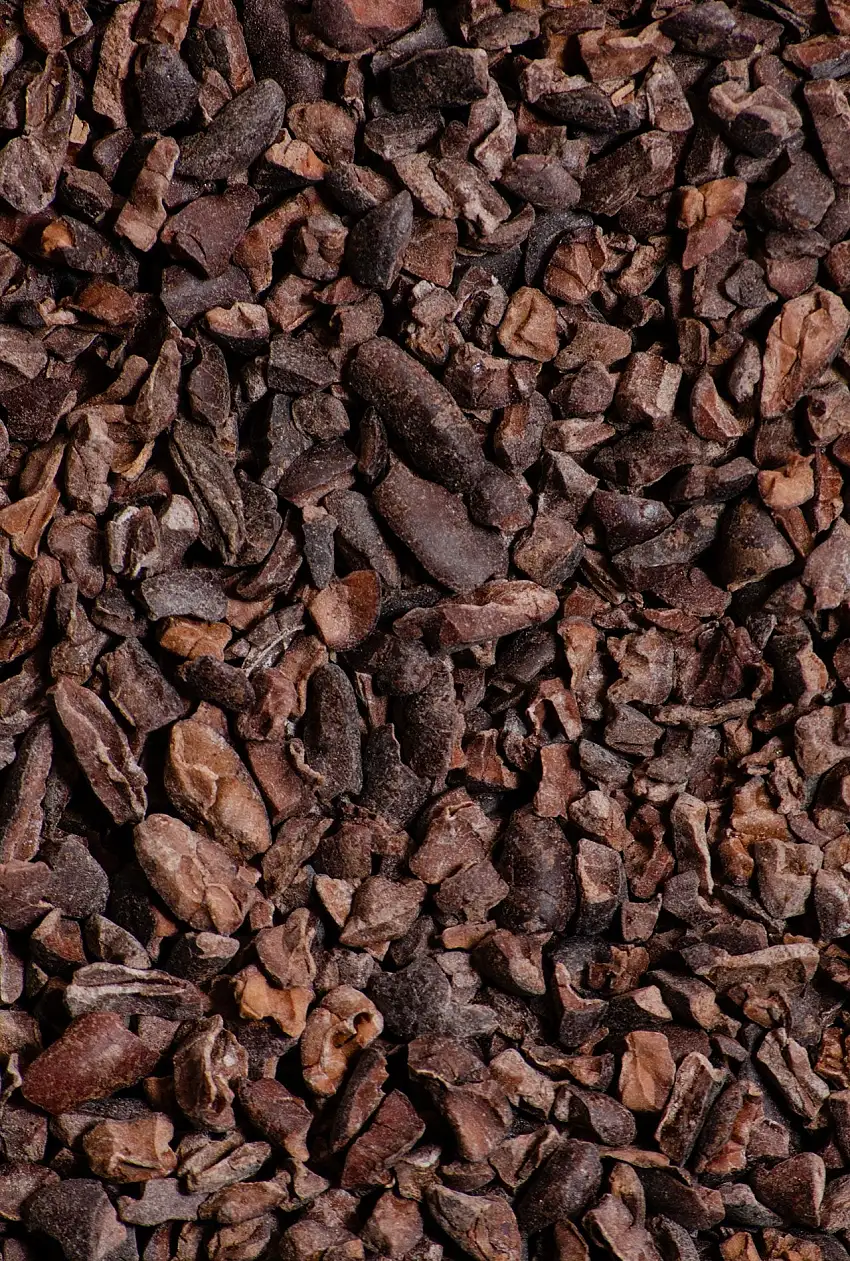 Nibs de cacao Organico
