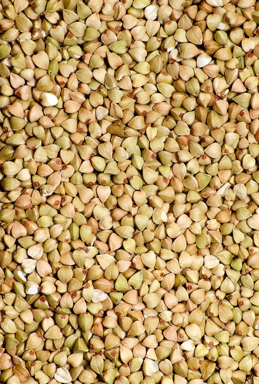 Trigo sarraceno grano ECO