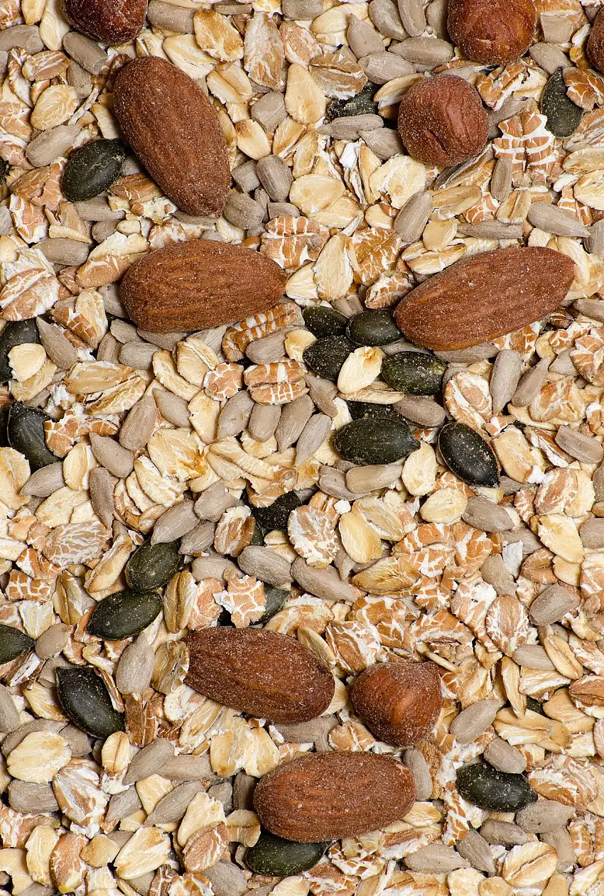 Muesli Frutos secos