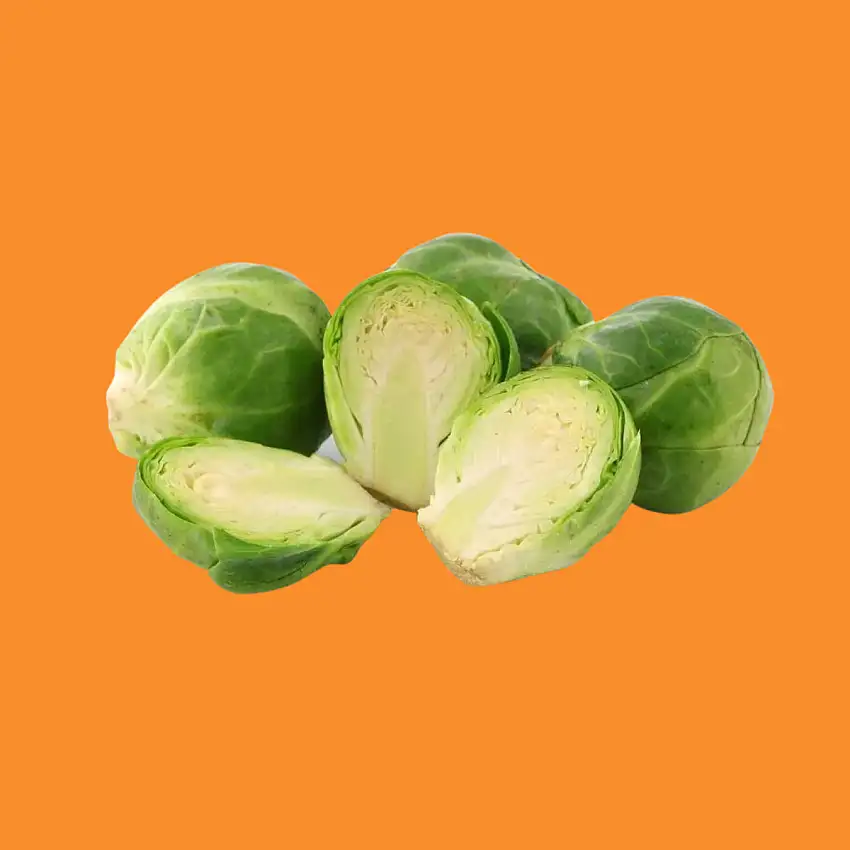 COLES DE BRUSELAS ECO