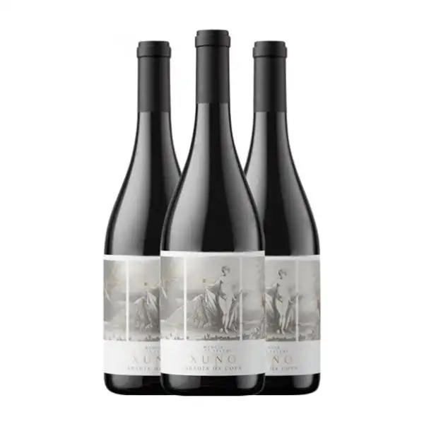 Abadia da Cova Xuno Mencía Ribeira Sacra Crianza 75 cl Vino Tinto (Caja de 3 unidades)