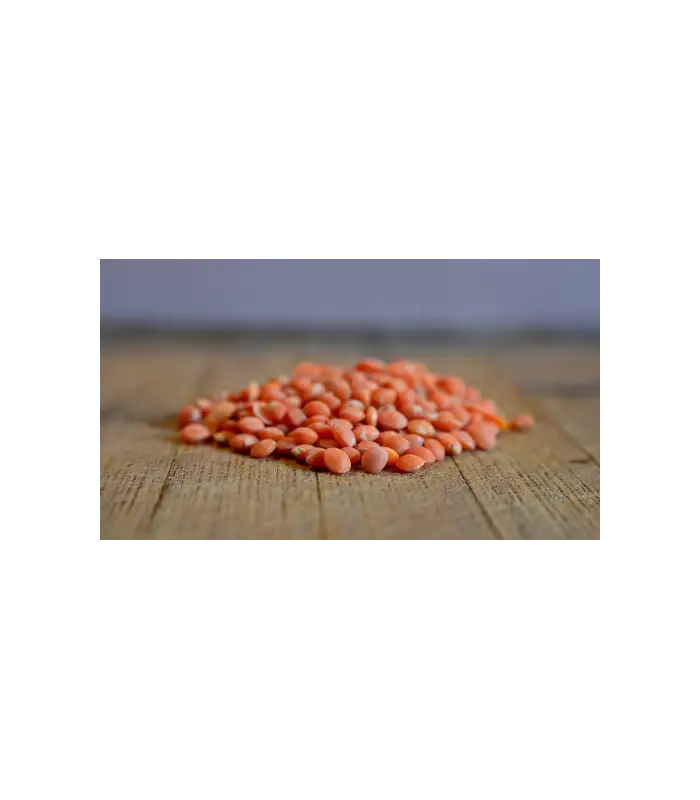 LENTEJA ROJA SIN GLUTEN 500g BIOARTESA