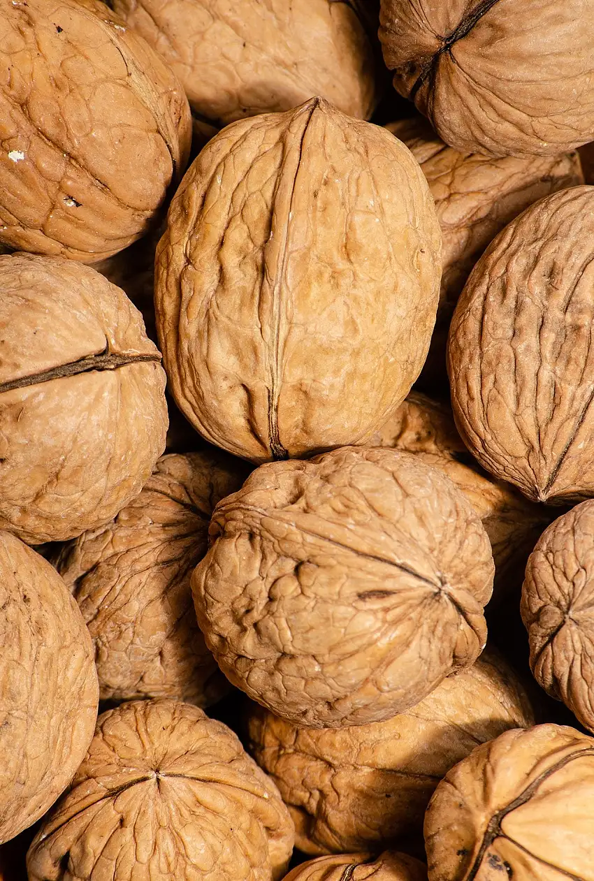 Nueces del país con cáscara 34/36