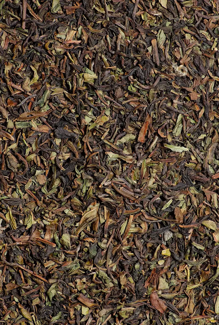 Té Darjeeling ECO