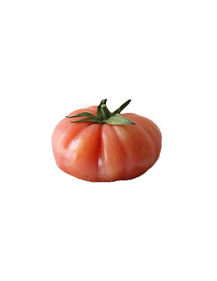 Tomate raf 1 kg. aprox