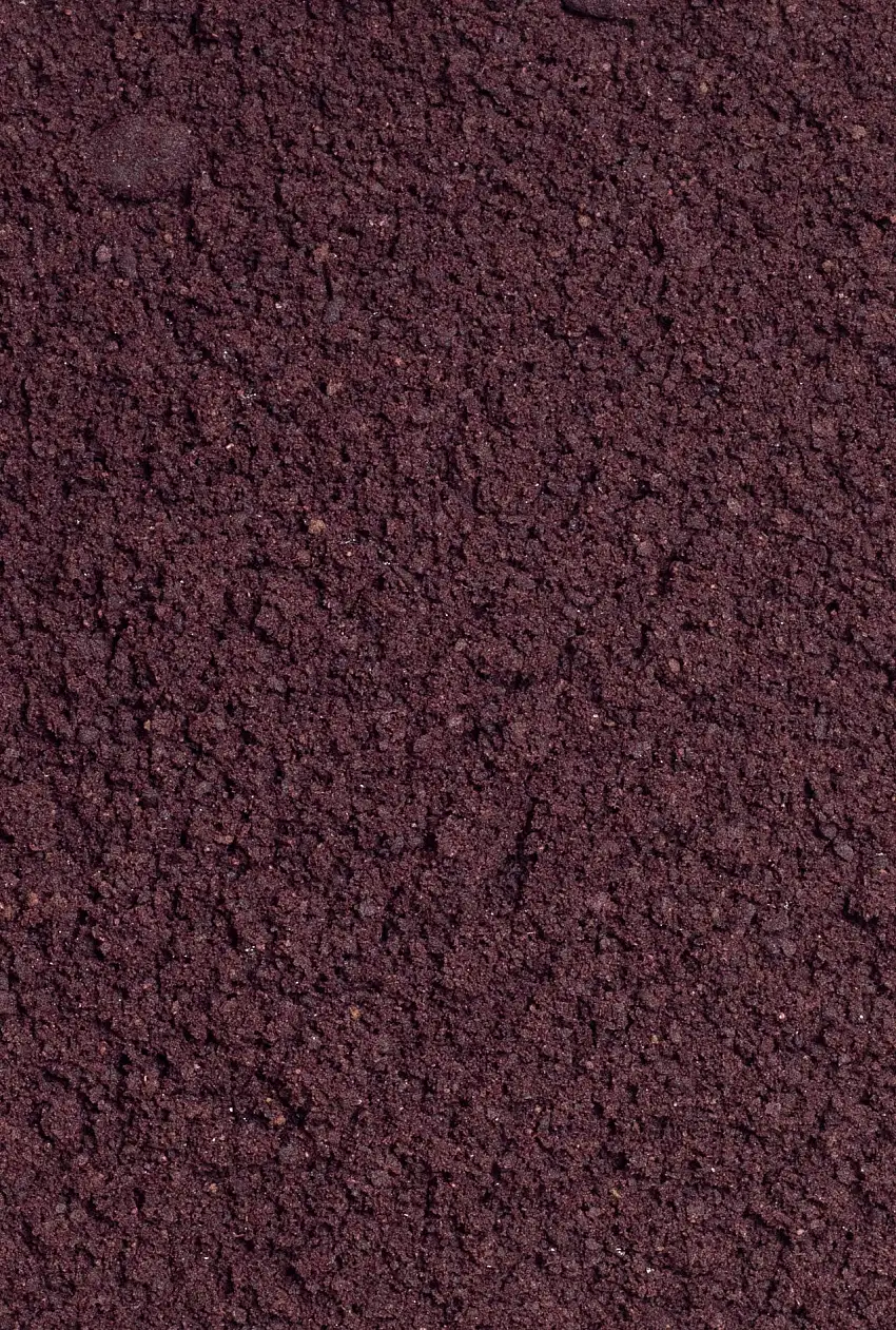 Acai en polvo BIO 75g