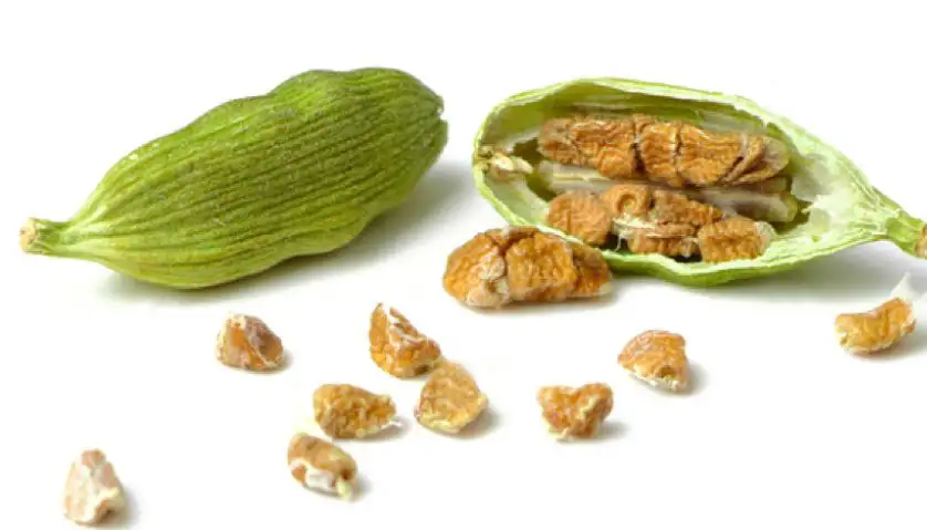 Cardamomo semillas granel 1Kg ecológico Herbes del Molí (por encargo)